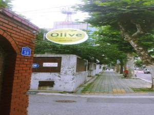 Hongdae Olive Guesthouse