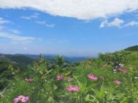 莫干山Cloud9云外民宿 - 酒店附近