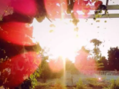 สวรรคโลก ทูที รีสอร์ท โรงแรมในอำเภอ สวรรคโลก