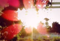 Two T Resort Hotels in Sawankhalok