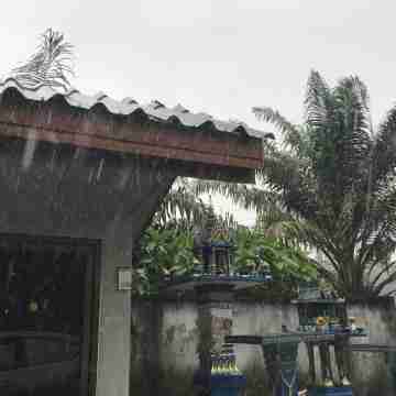 ไม้หลา รีสอร์ท Others