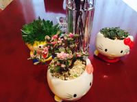 成都西西家庭短租公寓(温江店)学府路分店 - 酒店附近