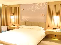 美嘉豪酒店(上海国际旅游度假区店) - 豪华景观套房