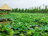 淮安白马湖艳阳度假酒店 - 公共区域