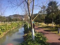 桂东县植物园酒店 - 酒店附近