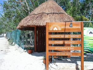 Akumal Natura Glamping