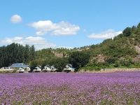 北京花田度假木屋 - 其他