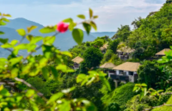 廣州碧桂園金葉子溫泉度假酒店（白水寨店） 白水寨風景名勝區酒店