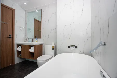 Holiday inn Aegean Port