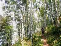 龙门爱树乡村度假山居 - 酒店附近