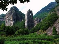 雁荡山茶田吾舍客栈 - 酒店附近