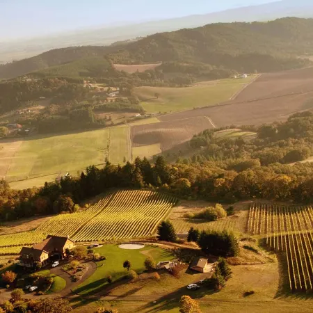 Youngberg Hill