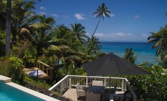 a tropical resort with a swimming pool , umbrellas , and palm trees overlooking the ocean under a clear blue sky at Taveuni Palms Resort