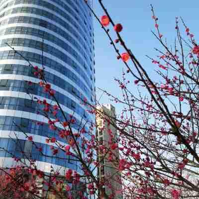 GRAND NEW CENTURY HOTEL Suichang Lishui Hotel Exterior