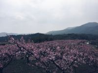 宜兴三而居民宿 - 酒店附近