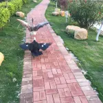 Jiahu Farmhouse Hotels in Lechang