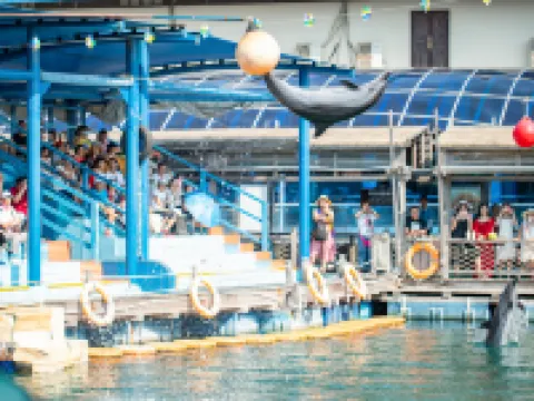 Boundary Island Sea Fishing Club Hoteles en Lingshui