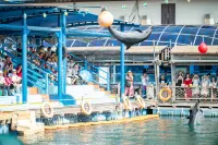 คลับตกปลาทะเล บาวน์ดารีไอส์แลนด์