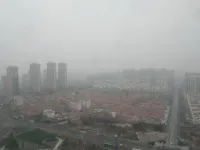 Water Cloud Biancheng Seaview Apartment (Mangrove Resort World City Balcony) - غرفة مطلة على الجبل