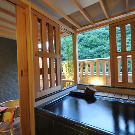 Hotel Okada