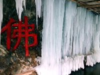 北京青园农家乐 - 其他