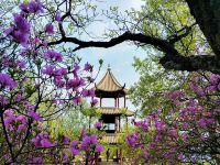 北京白桦林建国农家院 - 酒店景观