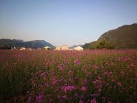 仙居小山村暖宿 - 酒店景观