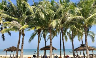 a beautiful beach with palm trees , clear blue water , and people relaxing under straw umbrellas at Dolphin Bay Beach Resort