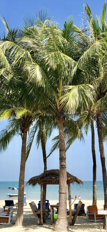 รูปภาพของดอลฟิน เบย์ บีช รีสอร์ท