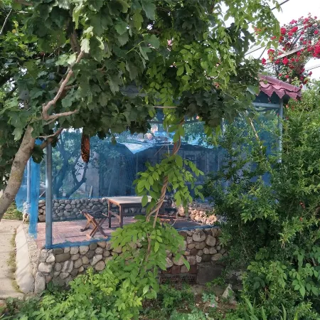 Mengyin Health Preservation Park Farmhouse
