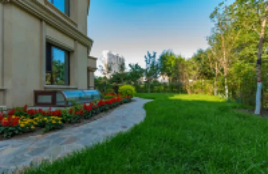 Sunrise Hotel Hotels near Siberia Tiger Park