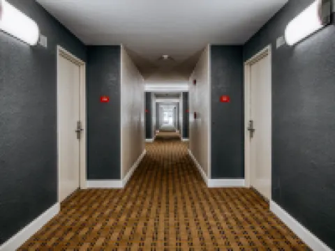 Wingate by Wyndham Columbia/Fort Jackson Hotels in Richland County