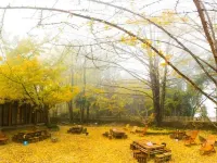 Liting nongjiale
