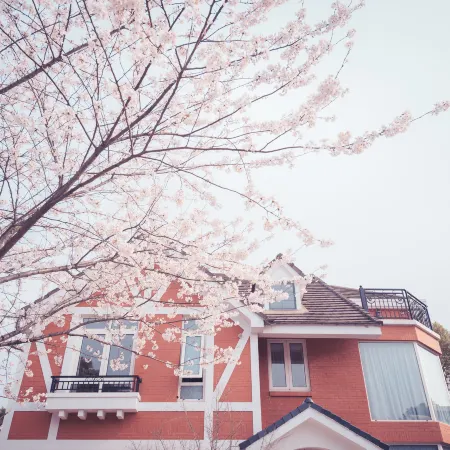 Shinehouse House (Shanghai International Resort)