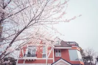 Shinehouse House (Shanghai International Resort)
