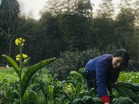 温州雁荡山能仁书院客栈 - 其他