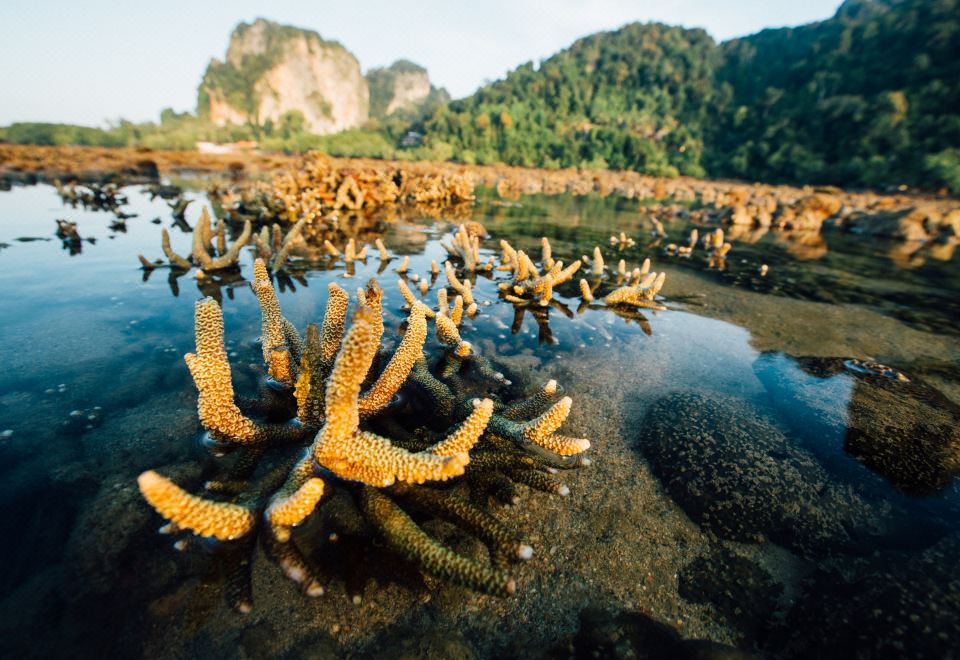 1. 라일레이 가든 ..