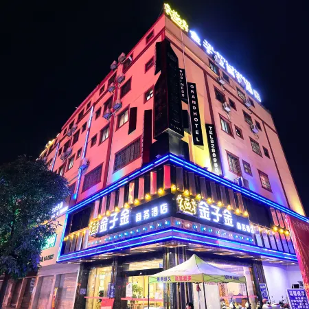 Jinzijin Business Hotel