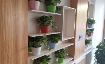 Shankee Tea Style Hotel (Zijin Baocheng Commercial Plaza)