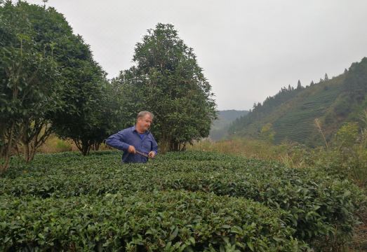 로스트 월드 산장 내부