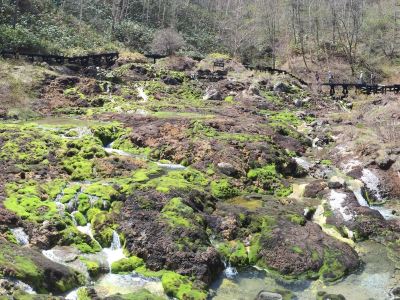 ホテル周辺 草津ナウリゾートホテルの写真