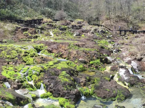 草津ナウリゾートホテル ホテル周辺 Photos