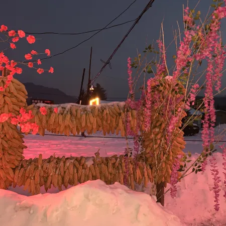 Snow Valley Yilongyuan lnn