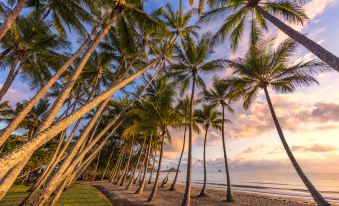 Drift Palm Cove
