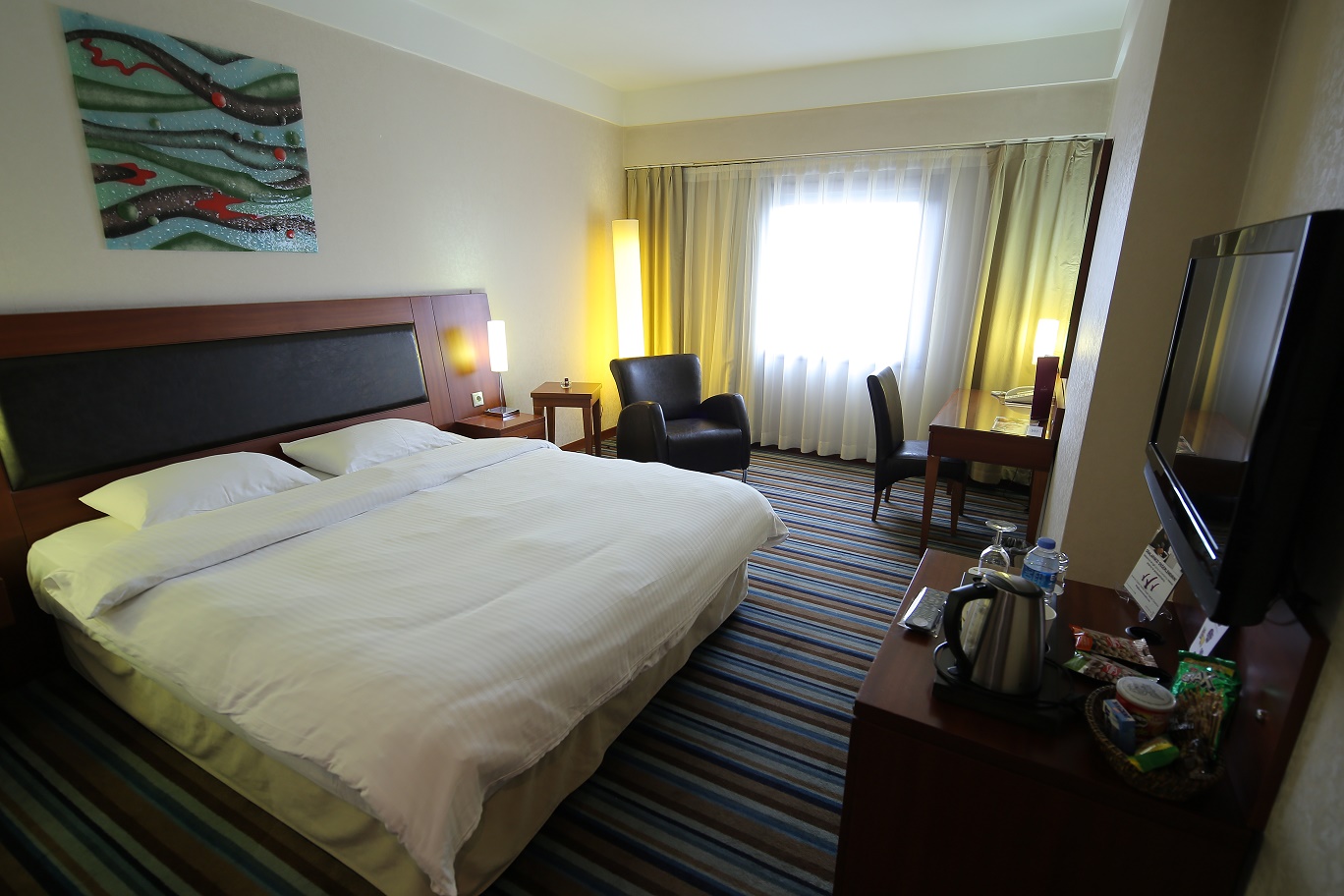 Hotel Anemon Eskisehir