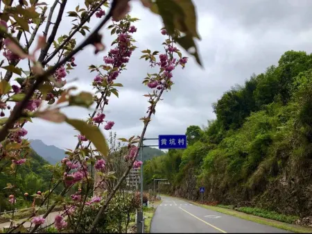 Yannanqi Inn in Yongjia Отели рядом с достопримечательностью «Shiwei Peak»