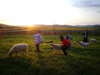 Enhe Ranch International Youth Hostel Hotels in 