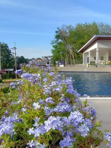 รูปภาพของอรัญญา รีสอร์ท เกาะลันตา