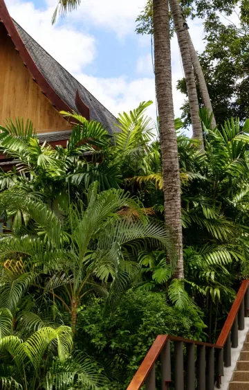 พาวิลเลียน