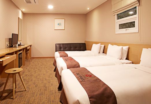 HOTEL SKYPARK Myeongdong 3 Over view